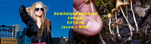 хмурый Бронницы