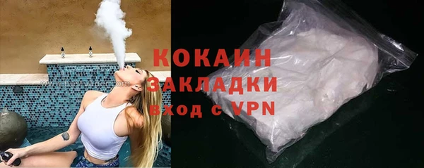 прущие грибы Бородино