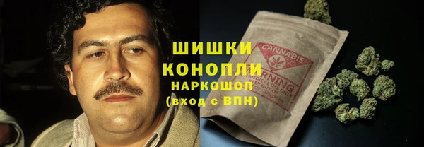 прущие грибы Бородино