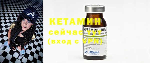 прущие грибы Бородино