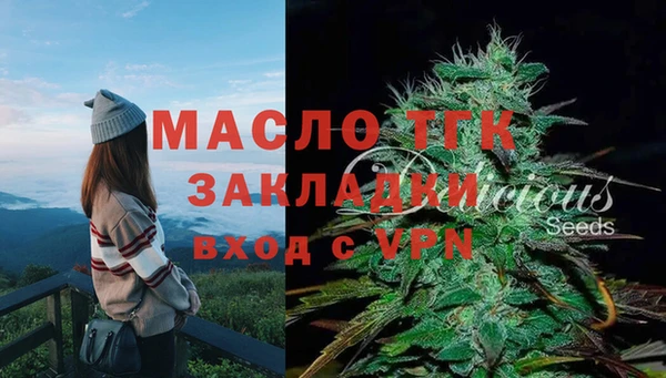 прущие грибы Бородино