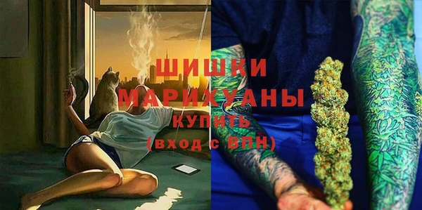 хмурый Бронницы