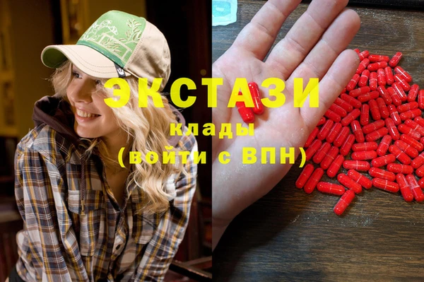 прущие грибы Бородино