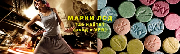 прущие грибы Бородино