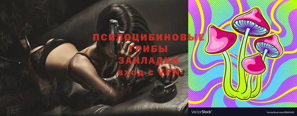 хмурый Бронницы