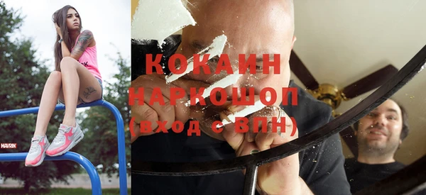 прущие грибы Бородино