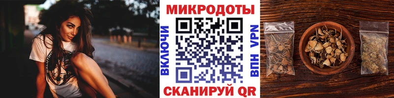 Псилоцибиновые грибы мицелий  где купить   Нижневартовск 